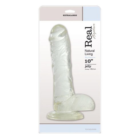 Dildo-FALLO JELLY REAL RAPTURE CLEAR 10"""""""""""""""""""""""""""""""" Dildo-FALLO JELLY REAL RAPTURE CLEAR 10""""""""""""""""""""""""""""""""