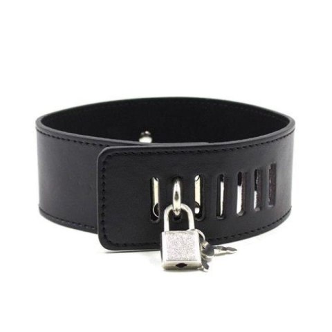 Collare con morsetti per capezzoli Leash nipple black Collare con morsetti per capezzoli Leash nipple black