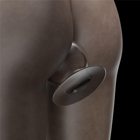 Flawless Clear Anal Plug 4.5''