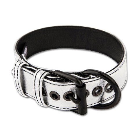 Bondage Fetish Metallic Pup Collar With Leash Bondage Fetish Metallic Pup Collar With Leash