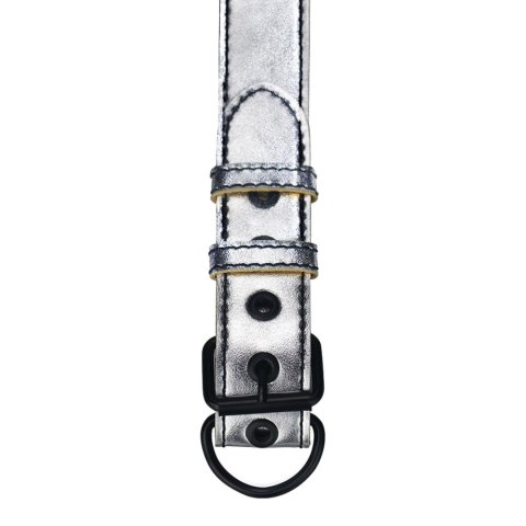 Bondage Fetish Metallic Pup Collar With Leash Bondage Fetish Metallic Pup Collar With Leash