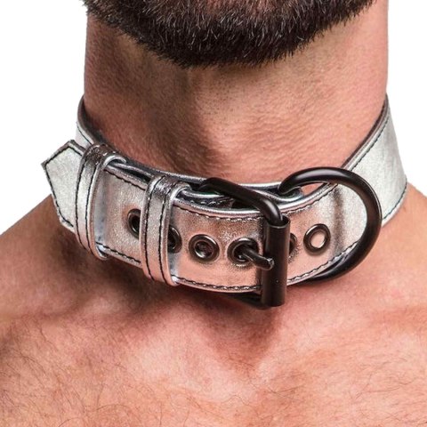 Bondage Fetish Metallic Pup Collar With Leash Bondage Fetish Metallic Pup Collar With Leash
