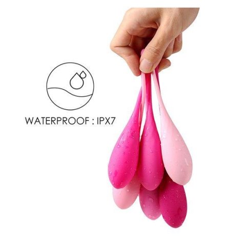 FeelzToys - FemmeFit Pelvic Muscle Training Set 6 pcs