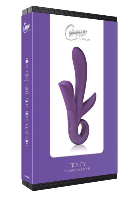 Trinity Triple Pleasure vibe Purple Trinity Triple Pleasure vibe Purple