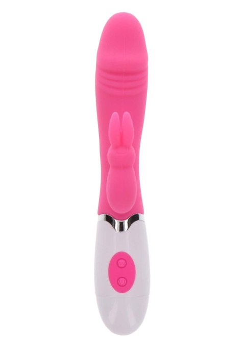 Funky Rabbit Pink Funky Rabbit Pink