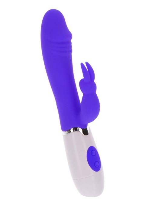 Funky Rabbit Purple Funky Rabbit Purple