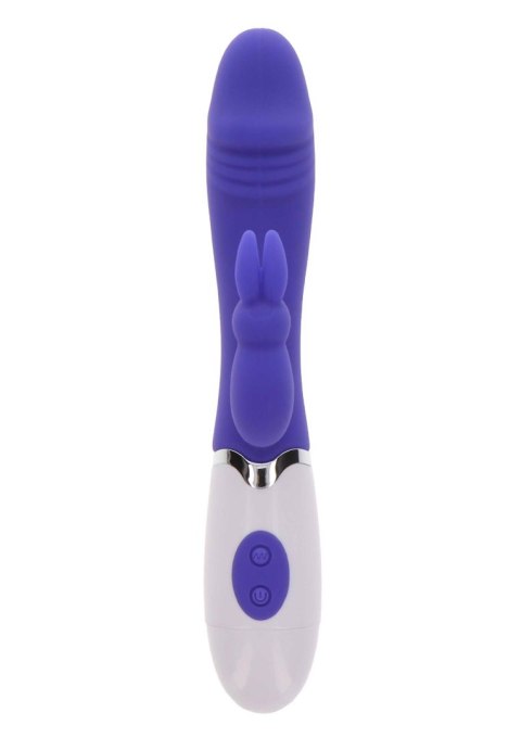 Funky Rabbit Purple Funky Rabbit Purple