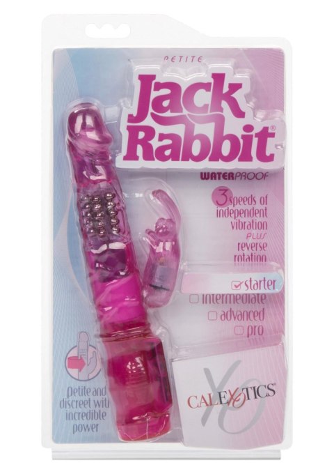 Petite Jack Rabbit Pink Petite Jack Rabbit Pink