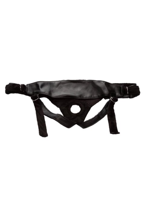Platinum Harness Black Platinum Harness Black