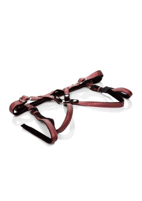 The Regal Duchess Red The Regal Duchess Red