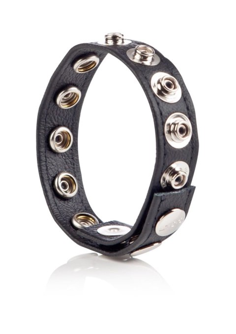 COLT Leather C/B Strap 8-snap Black COLT Leather C/B Strap 8-snap Black