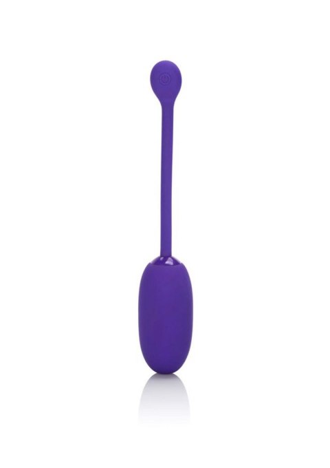 Recharg. Kegel Ball Starter Purple Recharg. Kegel Ball Starter Purple