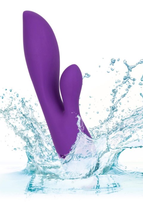 Aura Dual Lover Purple