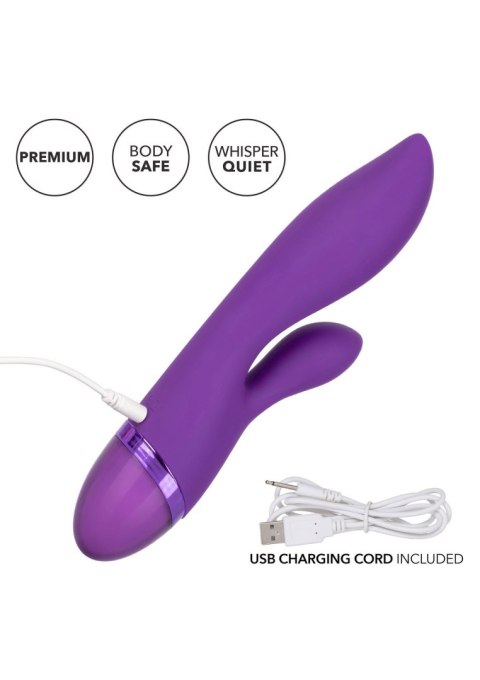 Aura Dual Lover Purple