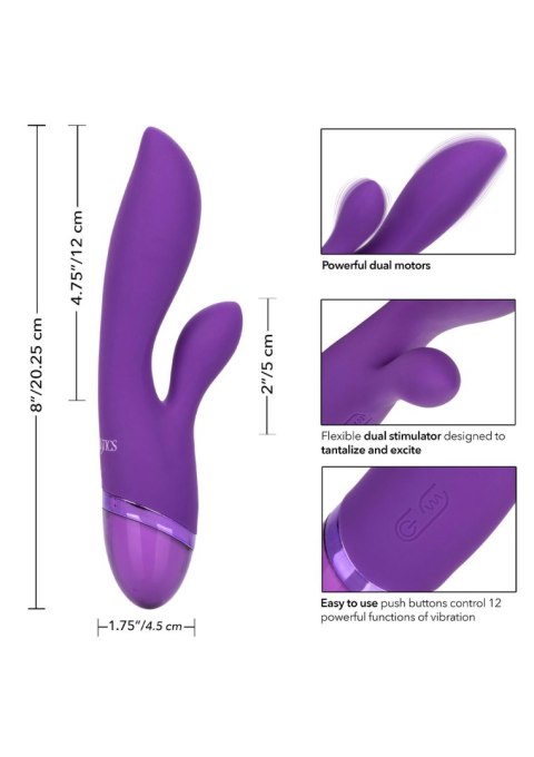 Aura Dual Lover Purple