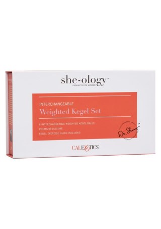 Interchangeable Kegel Set Assortment