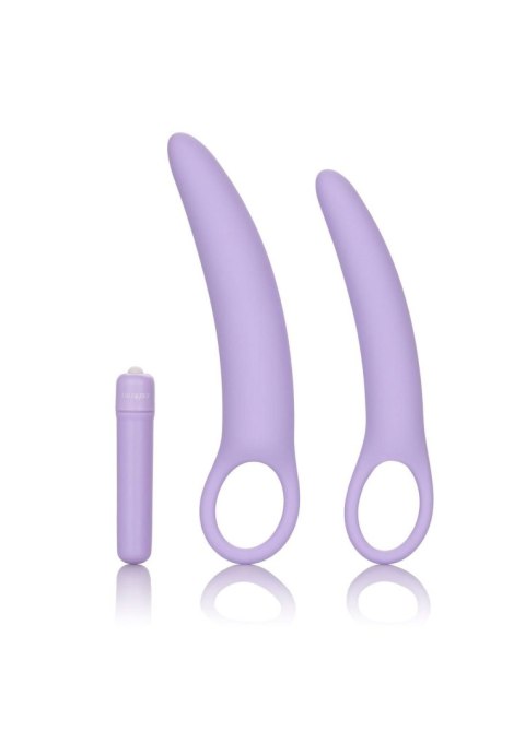 Isabelle Set of 2 Dilators Purple Isabelle Set of 2 Dilators Purple