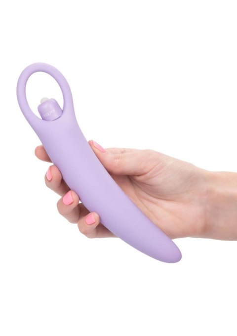 Isabelle Set of 2 Dilators Purple Isabelle Set of 2 Dilators Purple