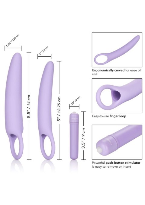 Isabelle Set of 2 Dilators Purple Isabelle Set of 2 Dilators Purple