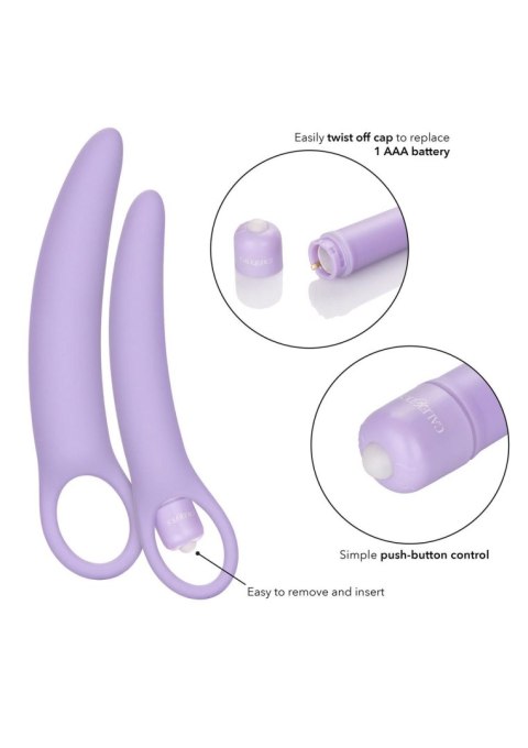 Isabelle Set of 2 Dilators Purple Isabelle Set of 2 Dilators Purple