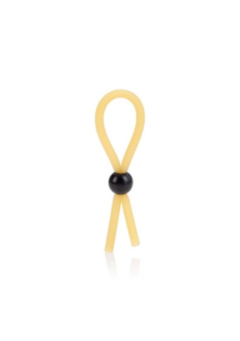 Lasso Transparent Lasso Transparent