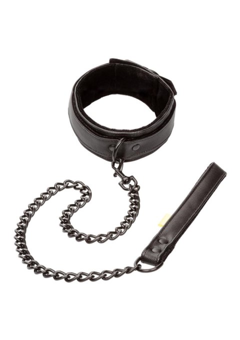 Boundless Collar & Leash Black Boundless Collar & Leash Black