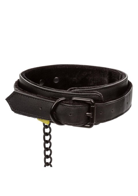 Boundless Collar & Leash Black Boundless Collar & Leash Black