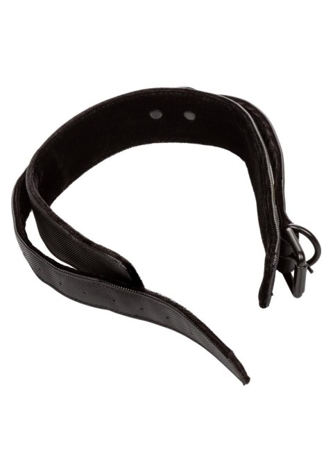 Boundless Collar & Leash Black Boundless Collar & Leash Black
