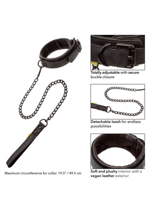Boundless Collar & Leash Black Boundless Collar & Leash Black