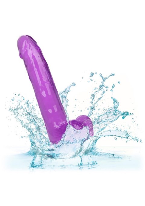 Queen Size Dong 8 Inch Purple