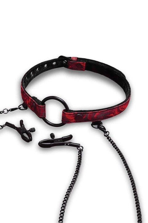 SECRET KISSES ROSEGASM OPEN MOUTH GAG WITH NIPPLE CLIPS SECRET KISSES ROSEGASM OPEN MOUTH GAG WITH NIPPLE CLIPS