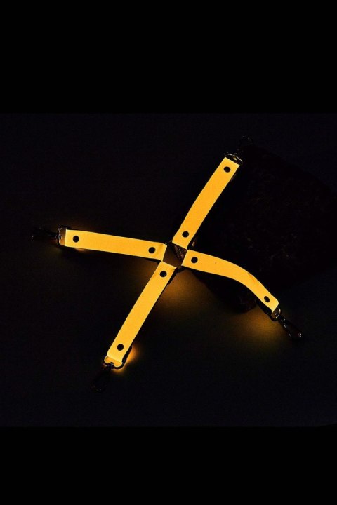 RADIANT HOG TIE GLOW IN THE DARK ORANGE RADIANT HOG TIE GLOW IN THE DARK ORANGE