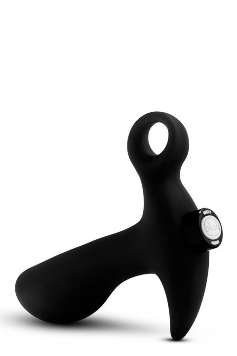 ANAL ADVENTURES PROSTATE MASSAGER 01 ANAL ADVENTURES PROSTATE MASSAGER 01