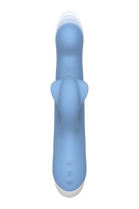 EVOLVED THUMP N THRUST EVOLVED THUMP N THRUST