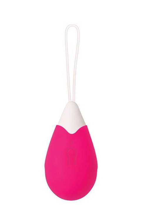 RECHARGEABLE REMOTE CONTROL EGG PINK RECHARGEABLE REMOTE CONTROL EGG PINK