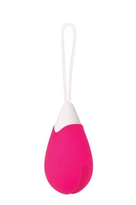 RECHARGEABLE REMOTE CONTROL EGG PINK RECHARGEABLE REMOTE CONTROL EGG PINK