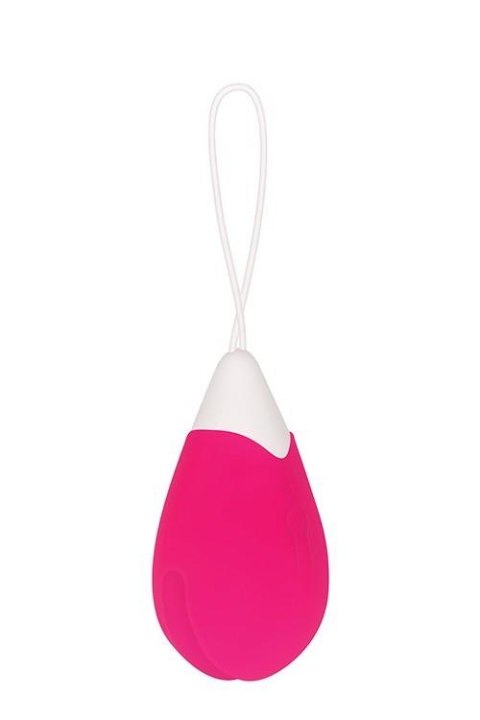 RECHARGEABLE REMOTE CONTROL EGG PINK RECHARGEABLE REMOTE CONTROL EGG PINK