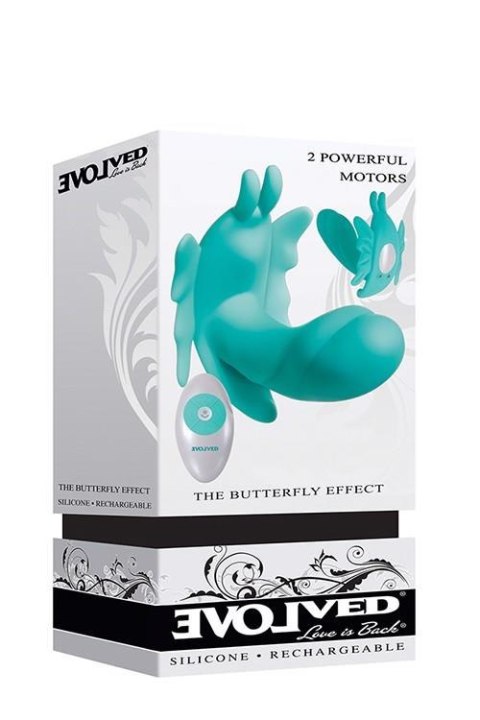 THE BUTTERFLY EFFECT THE BUTTERFLY EFFECT