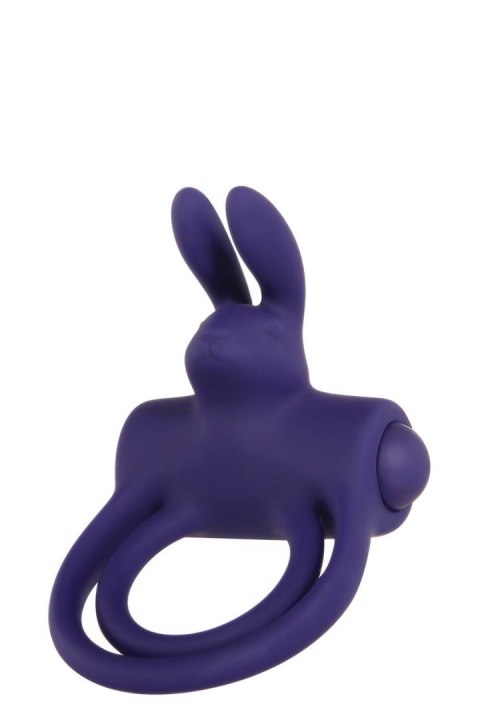 ADAM ET EVE ADAM & EVE'S SILICONE REMOTE CONTROL RABBIT RING ADAM ET EVE ADAM & EVE'S SILICONE REMOTE CONTROL RABBIT RING