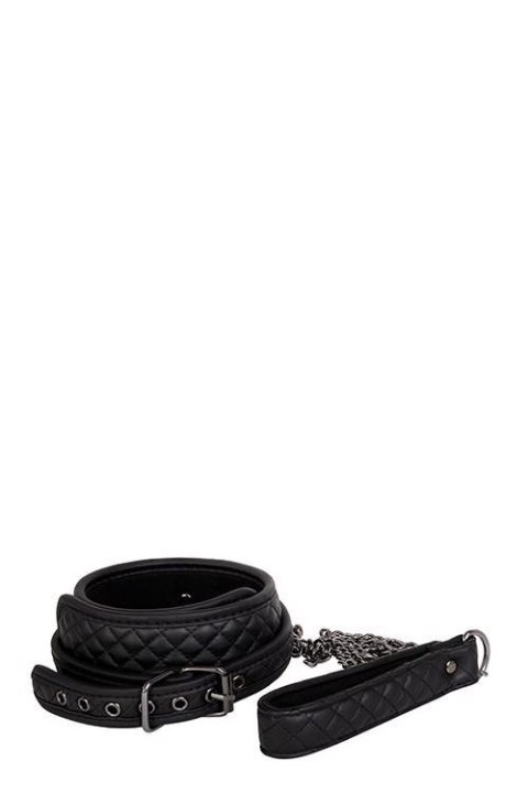 A&E EVES FETISH DREAMS COLLAR & LEASH A&E EVES FETISH DREAMS COLLAR & LEASH