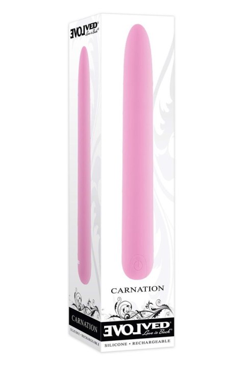 EVOLVED CARNATION EVOLVED CARNATION
