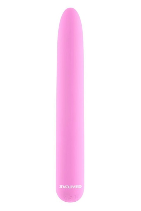 EVOLVED CARNATION EVOLVED CARNATION