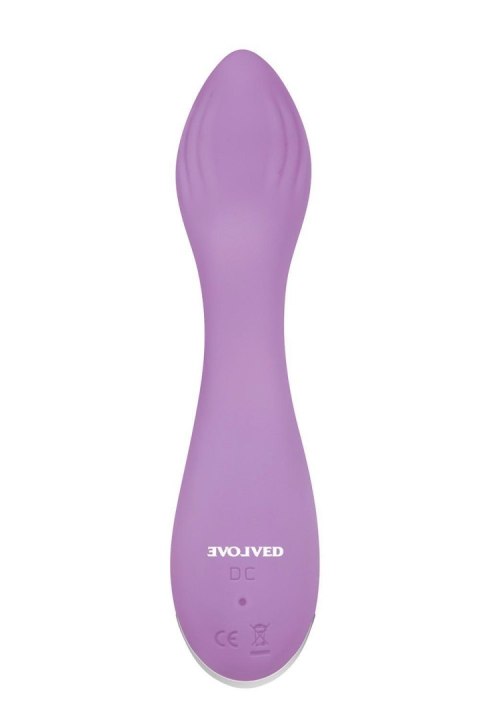 EVOLVED LILAC G EVOLVED LILAC G