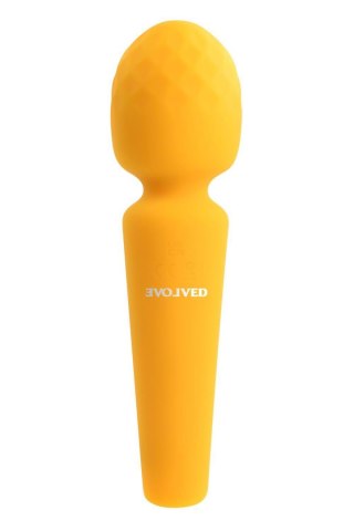 EVOLVED SUNSHINE