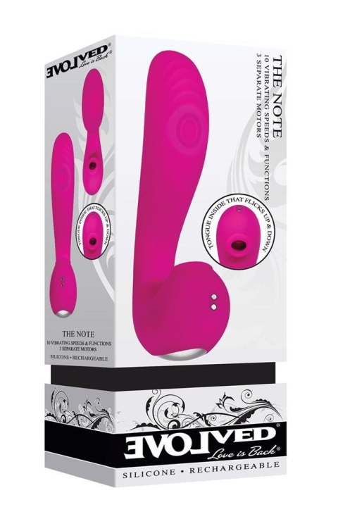 EVOLVED THE NOTE PINK EVOLVED THE NOTE PINK