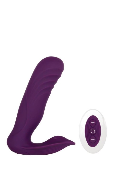 GENDER X VELVET HAMMER GENDER X VELVET HAMMER