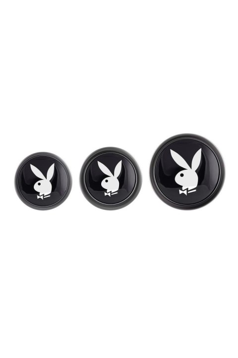 PLAYBOY PLEASURE 3 WAYS PLAYBOY PLEASURE 3 WAYS
