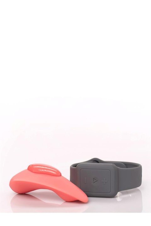 COMPANION CORAL