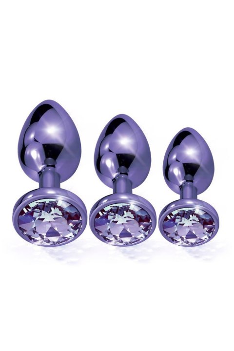 NIXIE METAL BUTT PLUGÂ TRAINERÂ SET, PURPLE METALLIC NIXIE METAL BUTT PLUGÂ TRAINERÂ SET, PURPLE METALLIC