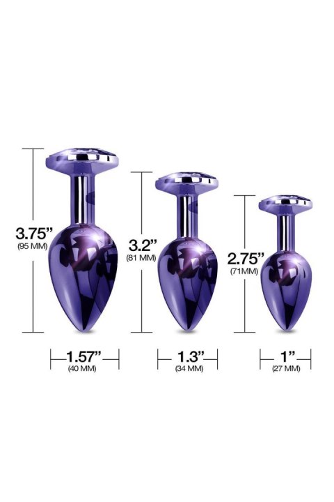 NIXIE METAL BUTT PLUGÂ TRAINERÂ SET, PURPLE METALLIC NIXIE METAL BUTT PLUGÂ TRAINERÂ SET, PURPLE METALLIC